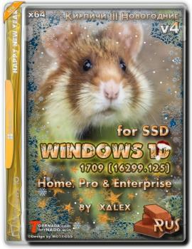 Windows 10 Lite 1709 (16299.125) for SSD v4Home, Pro & Enterprise или Кирпичи III by xalex (х64)