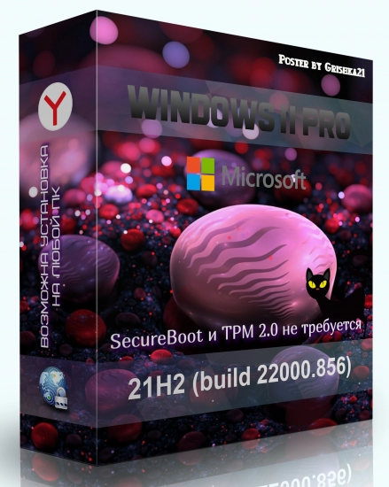 Windows 11 Pro Full x64 + OpenVpn by WebUser v2
