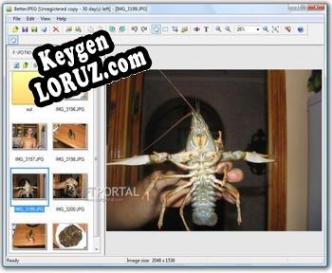 Key генератор для  Better JPEG Editor