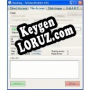 Ключ для Disk Checker