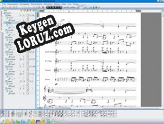Регистрационный ключ к программе  MagicScore Maestro