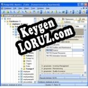 Генератор ключей (keygen)  PostgreSQL Maestro