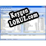 WS FTP Professional ключ активации