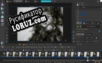Русификатор для AnimaShooter Capture